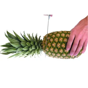 Coupe Ananas Plastique Ø 8,5 Cm X H 25 Cm Ibili qualité supérieure 12