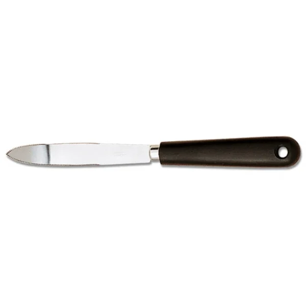 DEGLON Couteau à Pamplemousse Cranté Inox 11 Cm 1